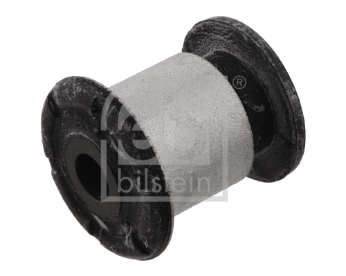 Mounting, control/trailing arm